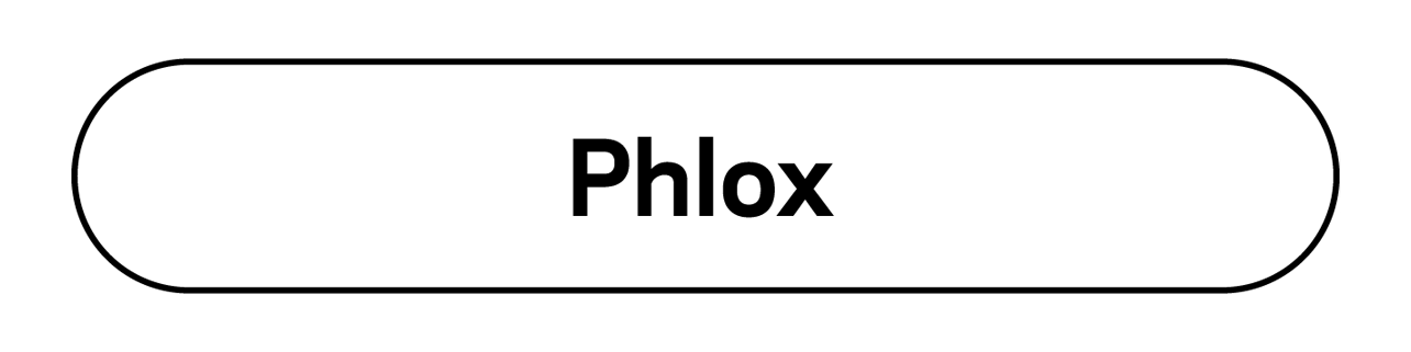 Phlox